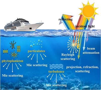 Learning hybrid dynamic transformers for underwater image super-resolution